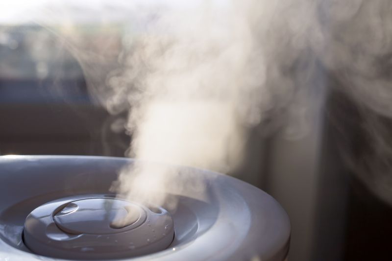 Residential Humidifier Service in Naples, FL